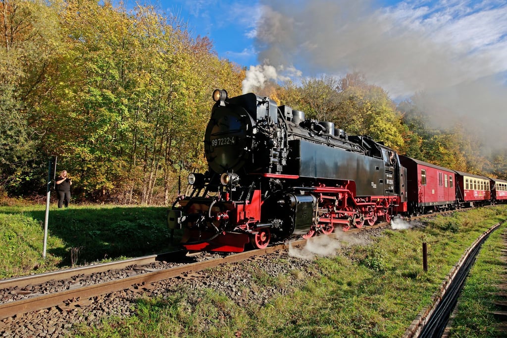 Die Harzer Schmalspurbahnen kämpfen mit Verlusten. (Archivbild)