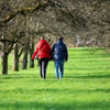 Wetter in Sachsen-Anhalt: Der Frühling kommt!