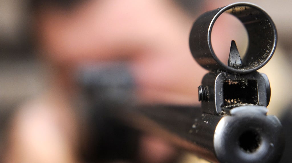 Ein wild umherschreiender Mann, der ein Luftgewehr offen mitführte, hat in Ballenstedt für einen Polizeieinsatz gesorgt.
