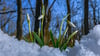 Ende Februar wird das Wetter in Sachsen-Anhalt eher wechselhaft.