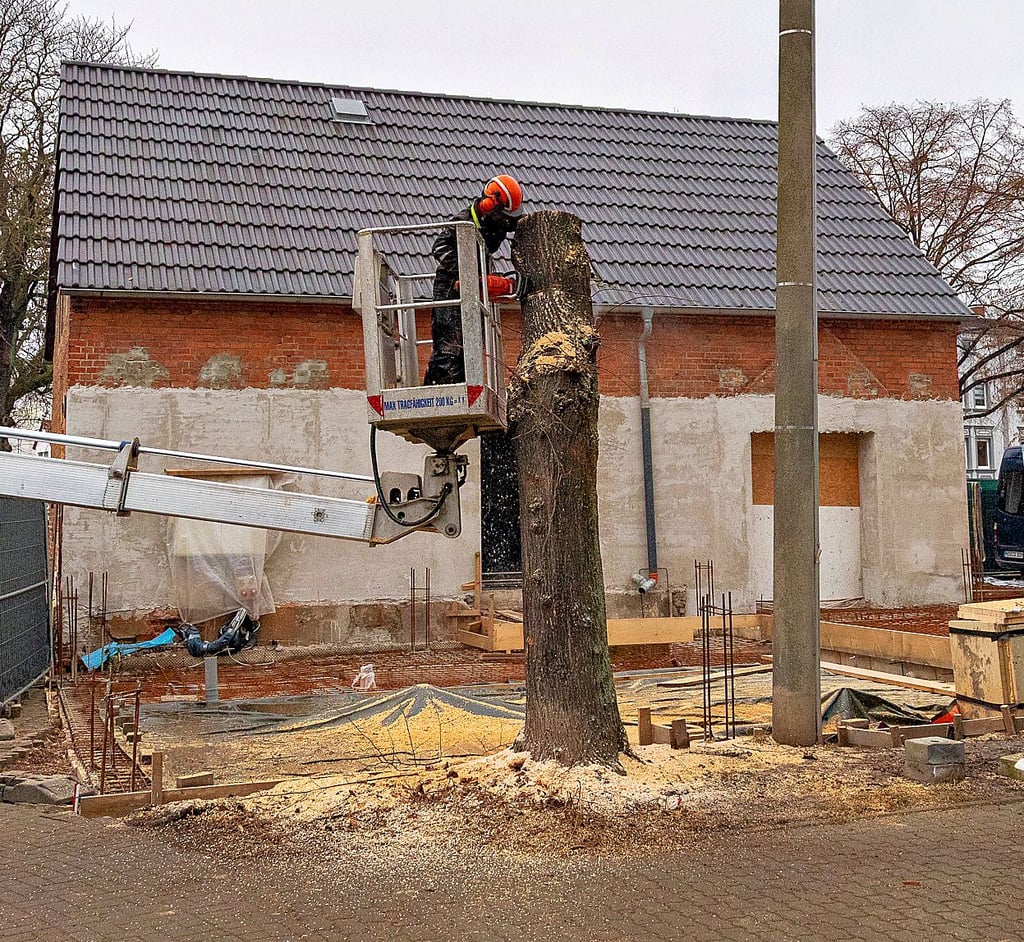 Der Baum zwischen Torplatz und „Am Thie“ in Magdeburg-Diesdorf wurde gefällt.