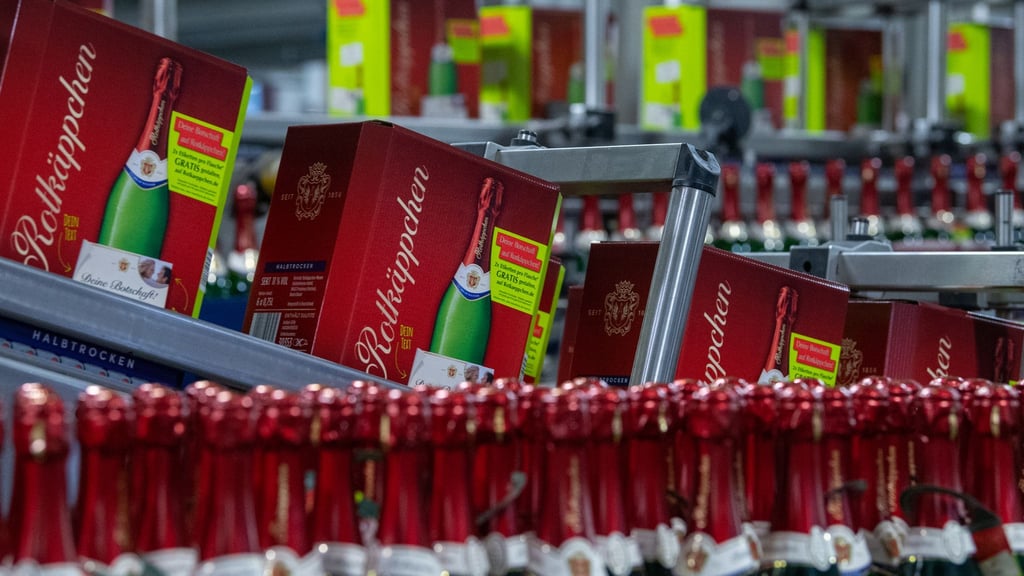 Sektflaschen laufen in der Rotkäppchen Sektkellerei in Freyburg über das Fließband und werden verpackt.