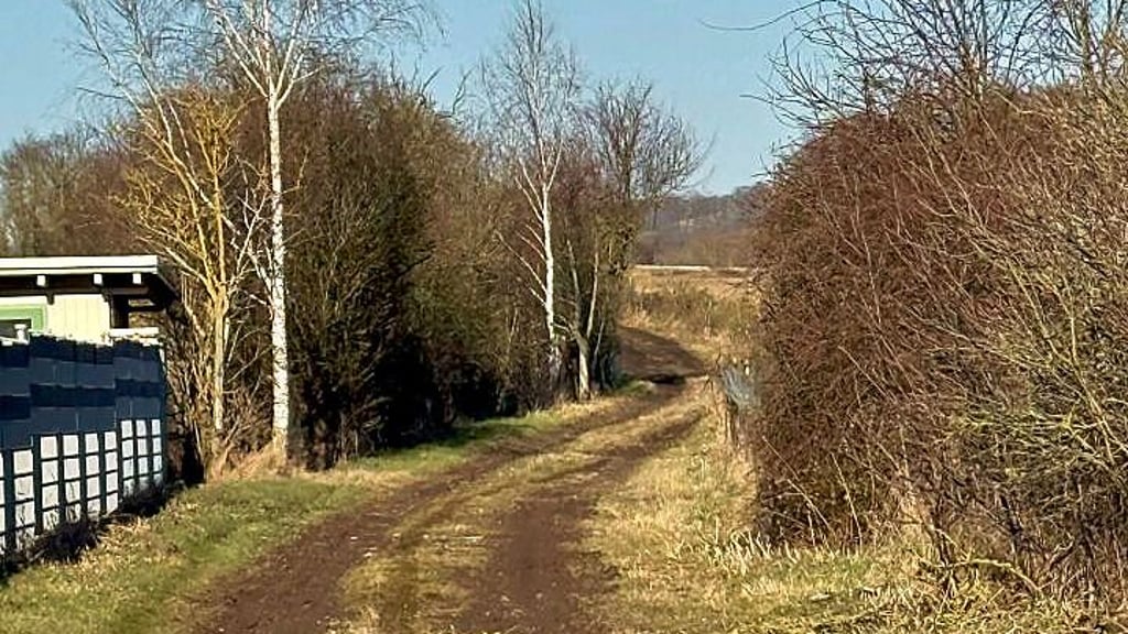 Einer der bereits freigeschnittenen Wege am Christberg. Auch er dient der Umleitung.