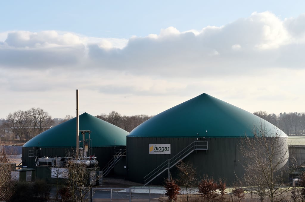 Biogaslnlagen produzieren Strom.
