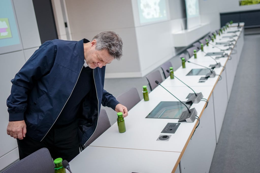 Sein Bundestagsmandat hat Habeck über die Grünen-Landesliste errungen: Er will es annehmen.