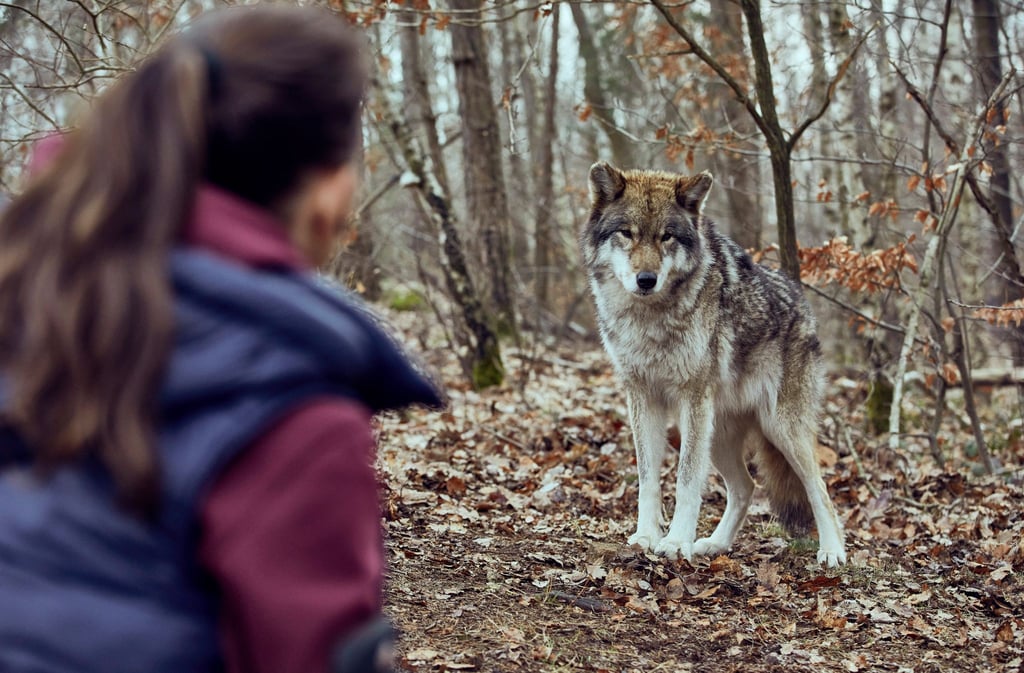 Viola Delbrück (Yvonne Catterfeld) kommt im Krimi „Wolfsland - Schwarzer Spiegel“ immer wieder ins Staunen.