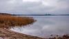 Der Weststrand des Gremminer Sees in Gräfenhainichen soll als Naherholungsgebiet erschlossen werden. 