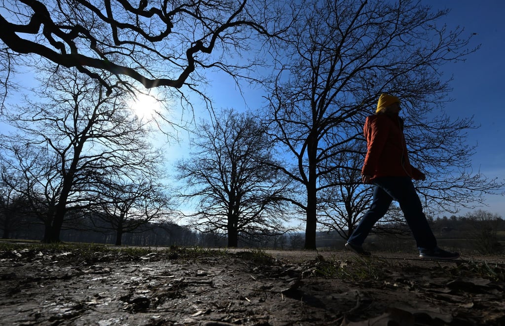 Der zu Ende gehende Winter war laut Deutschem Wetterdienst mild und trocken. (Archivbild)