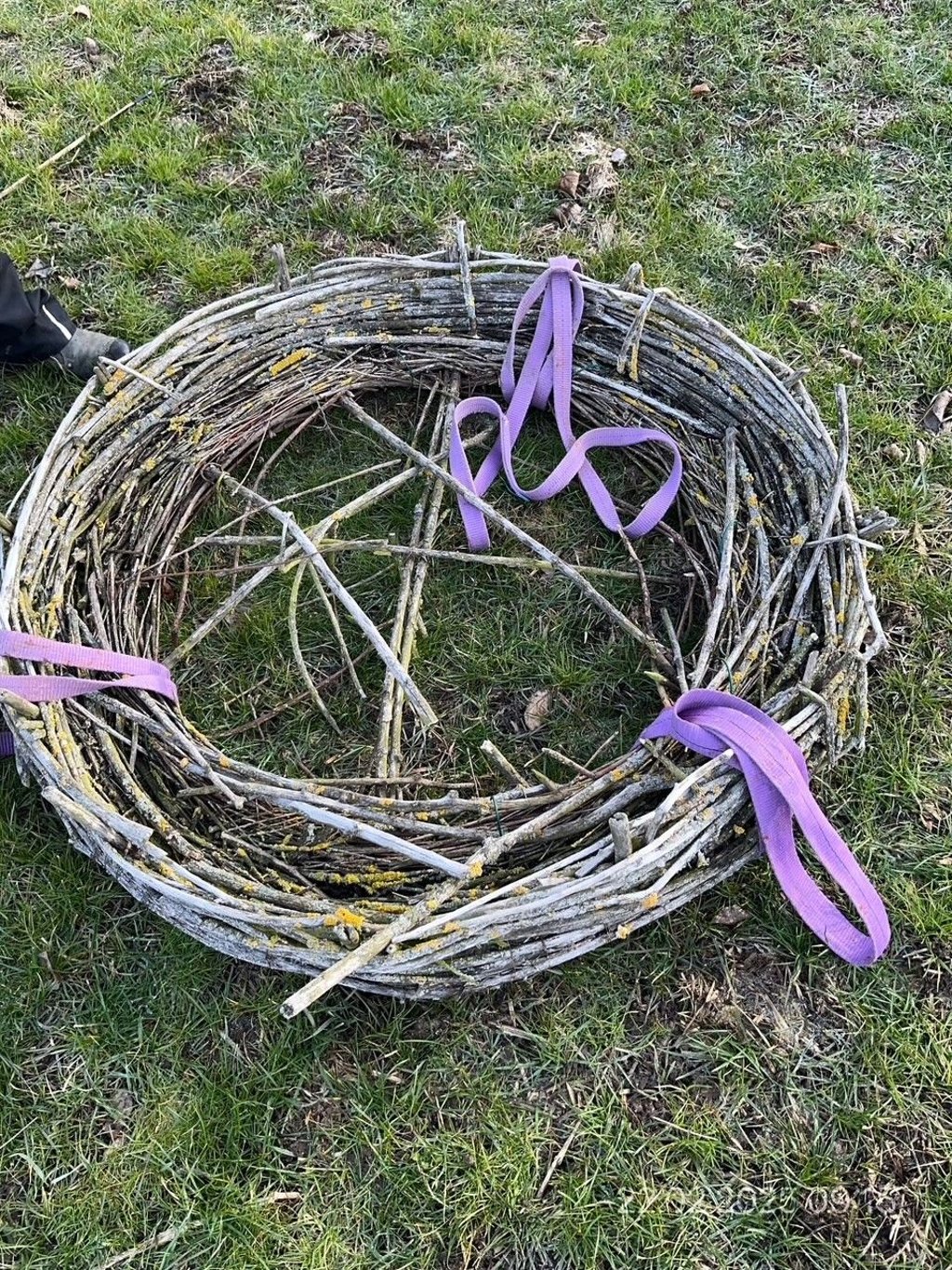 Blick auf das Nest, das aus Weidenzweigen besteht.