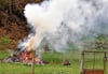 Gartenabfälle dürfen im März in Teilen des Burgenlandkreises wieder verbrannt werden. 