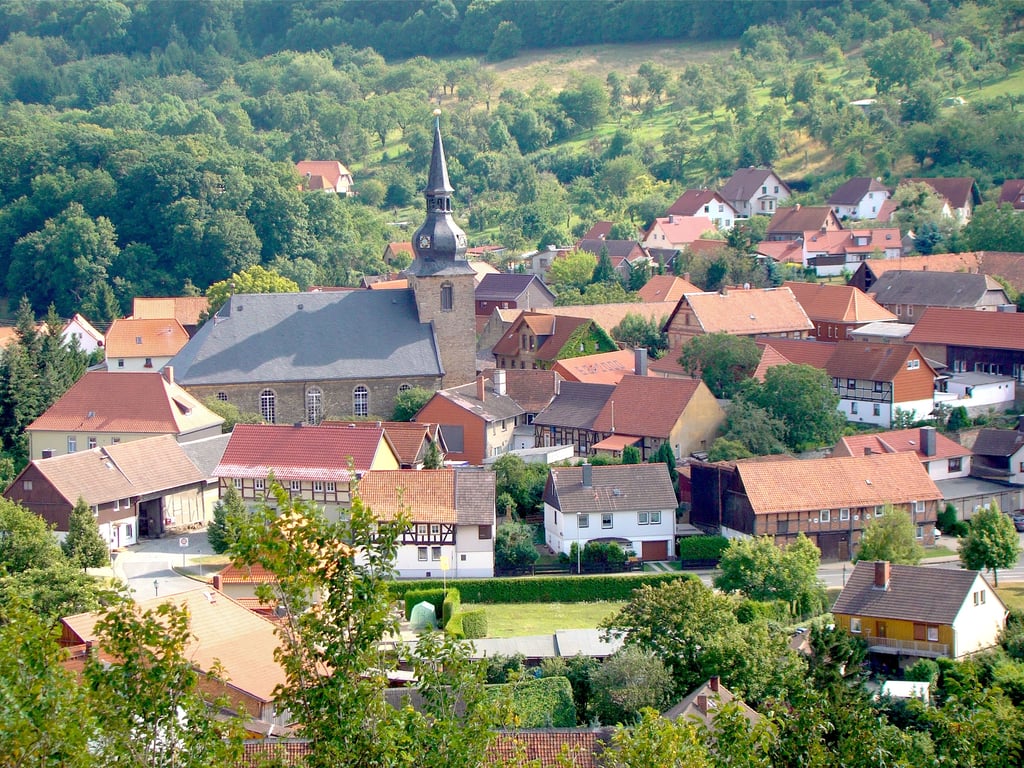 Blick von der Altenburg auf den Blankenburger Ortsteil Heimburg. 2026 gibt's dort einiges zu feiern.