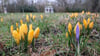 Der Frühling setzt sich in Sachsen langsam durch, auch wenn die Nächte noch kalt bleiben.