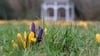 Milde Temperaturen und Sonne dürften in vielen Teilen Deutschlands in den kommenden Tagen dafür sorgen, dass weitere Blumen sprießen.