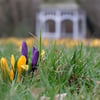 Der Frühling probiert es zum zweiten Mal: In dieser Woche ist in Sachsen-Anhalt mit viel Sonne und Temperaturen bis 16 Grad zu rechnen.