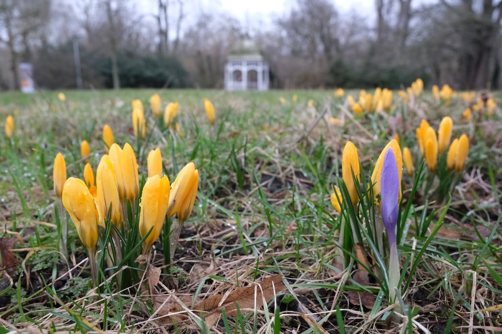 Der Frühling setzt sich in Sachsen langsam durch, auch wenn die Nächte noch kalt bleiben.