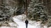 In diesem Winter lag im Thüringer Wald häufig nur sehr wenig Schnee. (Symbolbild)