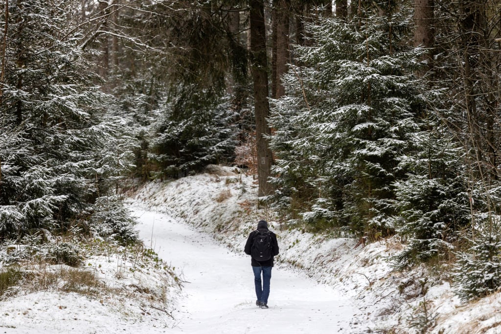 In diesem Winter lag im Thüringer Wald häufig nur sehr wenig Schnee. (Symbolbild)