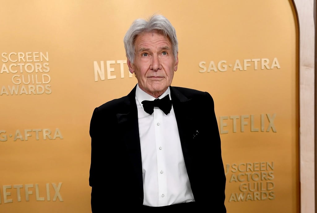 Harrison Ford muss seinen geplanten Oscar-Auftritt wegen einer Erkrankung absagen. (Archivbild)