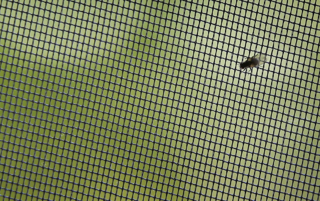 Ein klassisches Fliegengitter hält die Quälgeister aus der Wohnung fern. Soll das Netz auch Pollen reduzieren, sollten Allergiker darauf achten, dass das Material möglichst engmaschig ist.