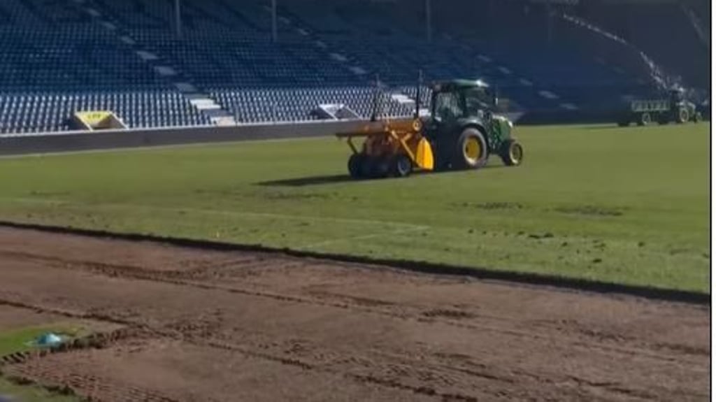 Die Avnet-Arena in Magdeburg bekommt einen neuen Rasen.