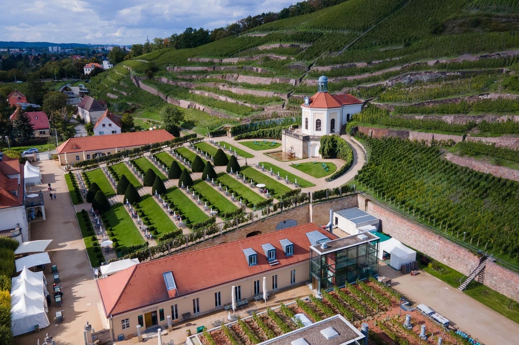 Das Staatsweingut Schloss Wackerbarth in Radebeul ist ein sächsische Staatsunternehmen (Archivbiild).