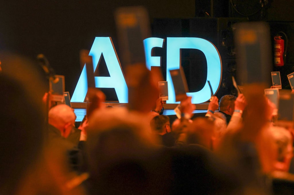 Interne Streitigkeiten im Vorstand wurden auch auf dem Landesparteitag der AfD diskutiert.