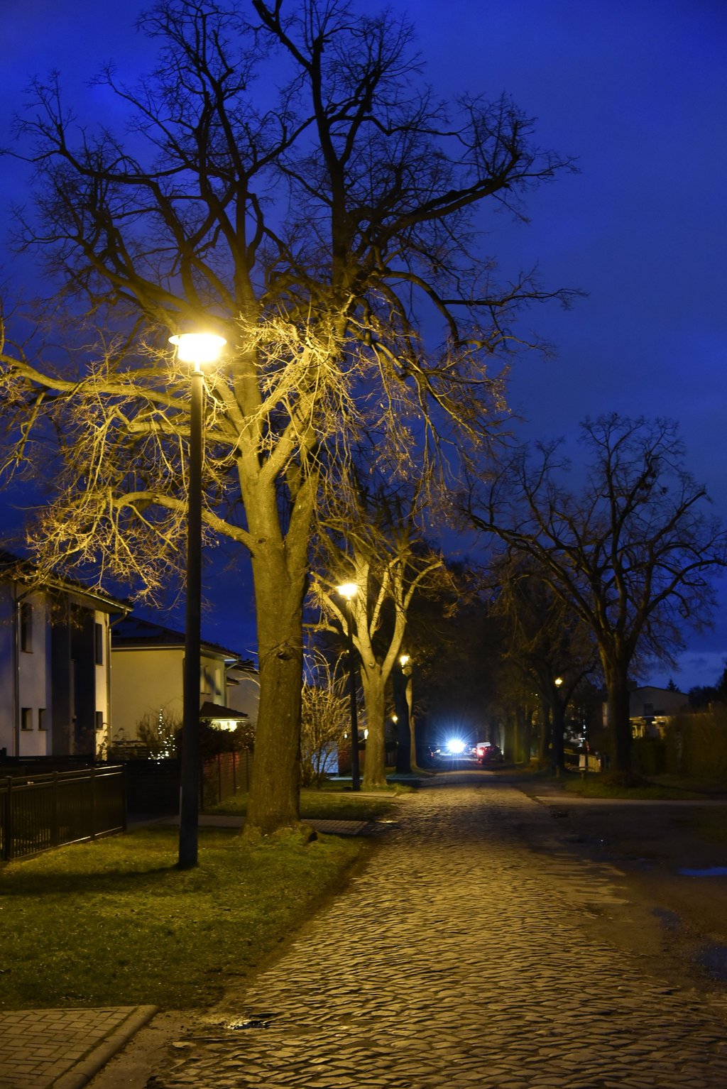 Blick in den nächtlichen Stadtweg.