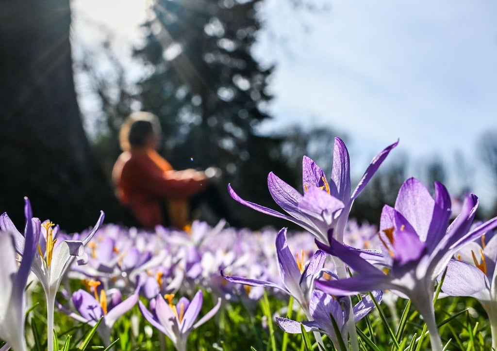 In den kommenden Tagen soll es in Deutschland bis zu 20 Grad werden.