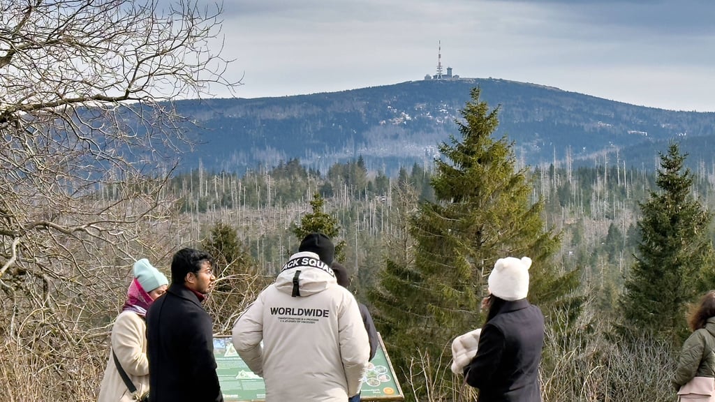 Auch im Frühling wartet der Harz mit Wanderwegen auf, die deutschlandweit Touristen ins Mittelgebirge ziehen. Symbolbild:
