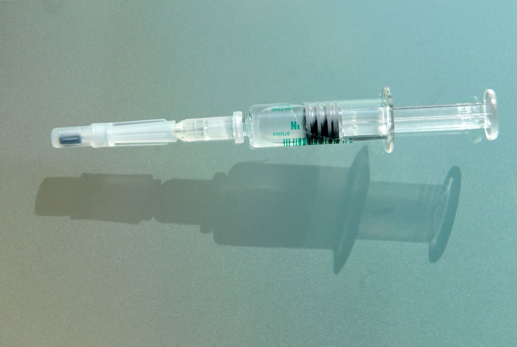 Gegen FSME-Viren kann geimpft werden, gegen Lyme-Borrelien noch nicht. (Archivbild)