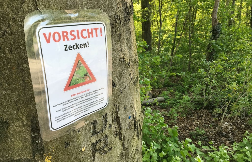 Zecken können unter anderem Lyme-Borrelien und FSME-Viren übertragen. (Archivbild)
