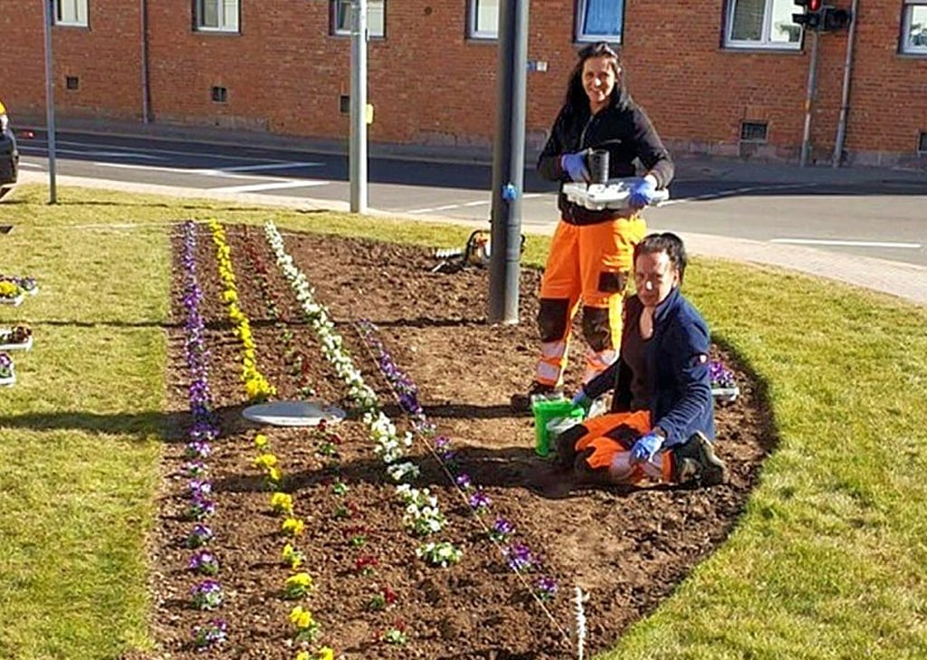 Grit Schulze und Nadine Wedler pflanzen die Frühblüher an der Hauptkreuzung in Klostermansfeld.