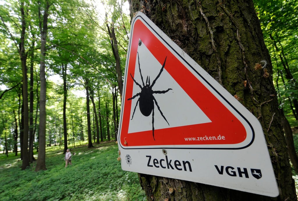 Zahlreiche Gebiete in Deutschland sind FSME-Risikogebiete. (Archivbild)