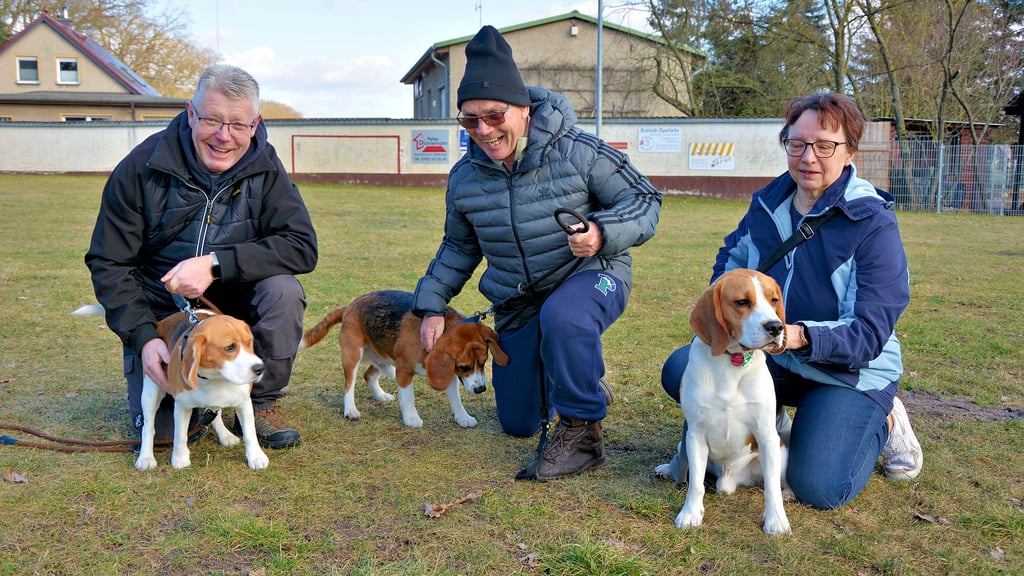 Uwe Schlifke aus Magdeburg mit Rosi (v.l.), Heinz Steinke aus Burg mit Timmy und Andrea Schneidewindt aus Burg mit Buddy auf dem Spielwiese.