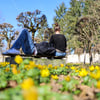 Wetter in Sachsen-Anhalt: Im März zeigt sich oft die Sonne, ab Mitte der Woche droht Schnee.