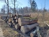 Der Landesforstbetrieb im Oberharz durchforstet regelmäßig die Wälder in ihrem Gebiet. Die diene der Mischregulierung des Bestandes.