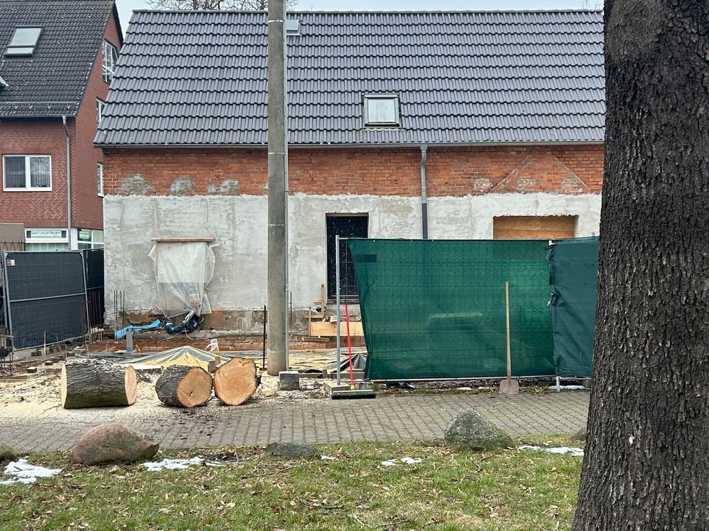Die Sommerlinde wurde in Magdeburg-Diesdorf Stück für Stück gefällt.