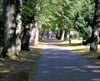 Keine privaten Fahrzeuge auf dem Friedhof. Stadtrat von Calbe lehnt Antrag der CDU/FDP ab, der Bürgern den Abbau abgelaufener Grabstellen ermöglichen sollte. 