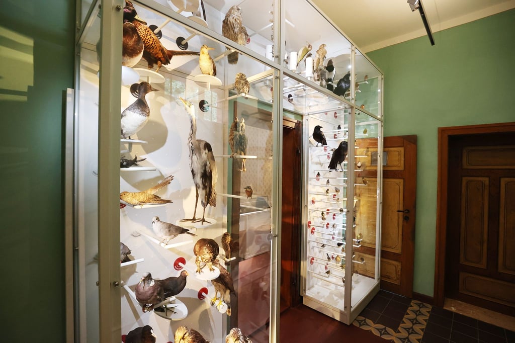 Wer aus welchen Gründen auch immer, selbst keinen regulären Besuch im Museum „Brehms Welt - Tiere und Menschen“ antreten kann, hat nun die Möglichkeit auf eine Telefon-Führung. (Archivbild)