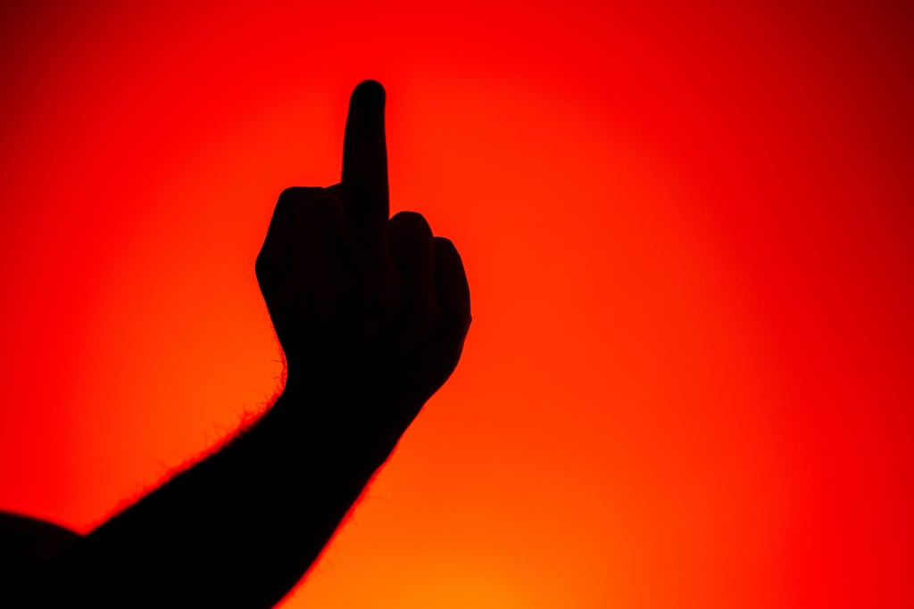 Eine Frau aus Schönebeck zeigte der Polizei den Mittelfinger. Wegen Beleidigung musste sie sich nun vor dem Strafrichter antreten.