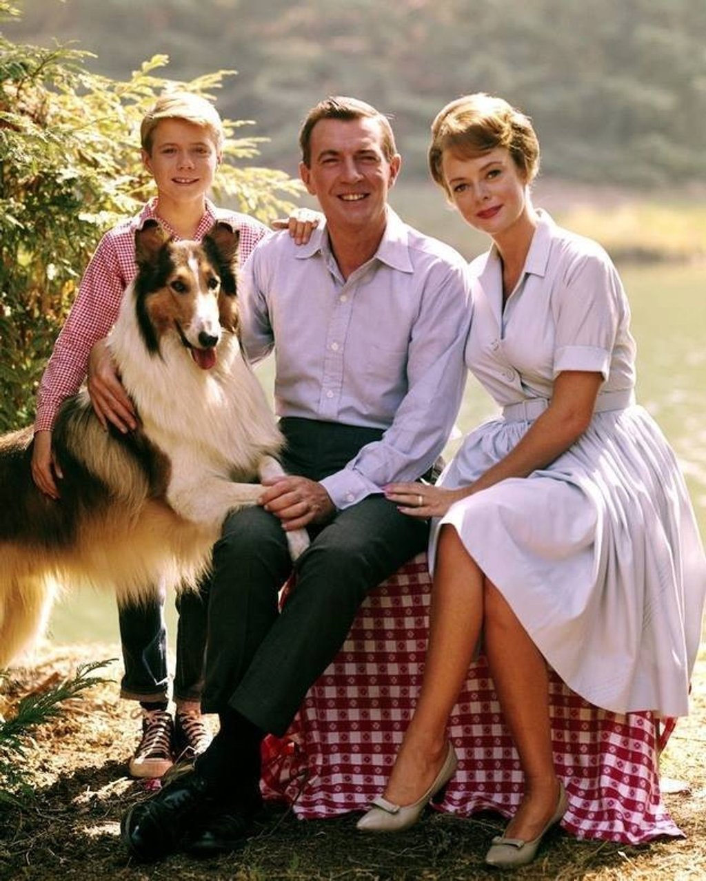 „Lassie“ zählte zu den beliebtesten amerikanischen TV-Serien. (Handout)