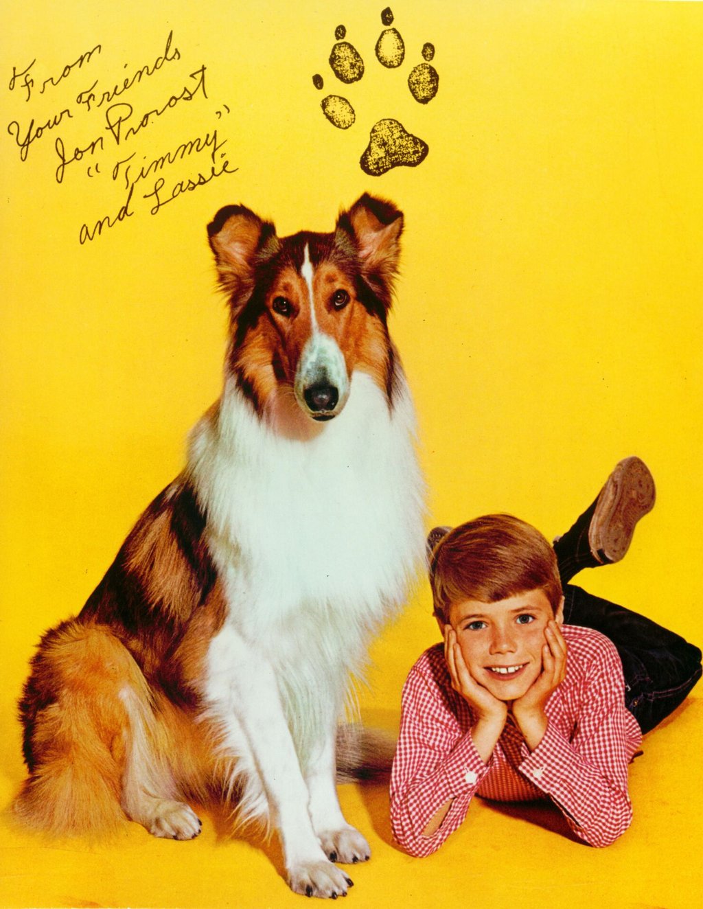 Sieben Jahre lang stand der Kinderstar Jon Provost als Timmy vor der Kamera. (Handout)