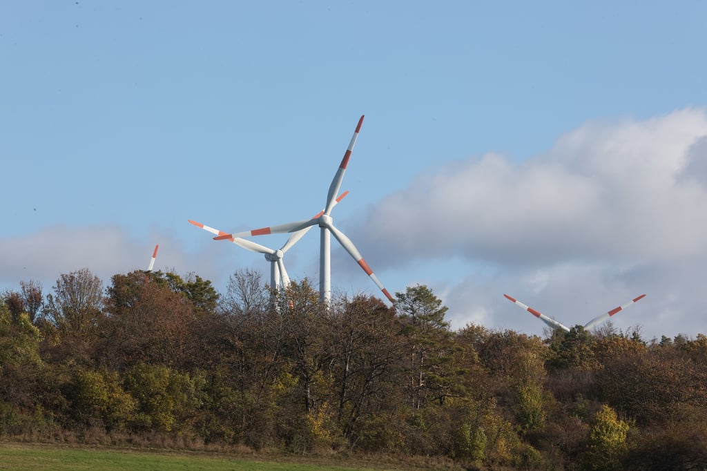 40 Windräder sollen im Wald der Hellberge, auch altmärkische Schweiz genannt, gebaut werden und Strom für die Erzeugung von grünem Wasserstoff erzeugen.