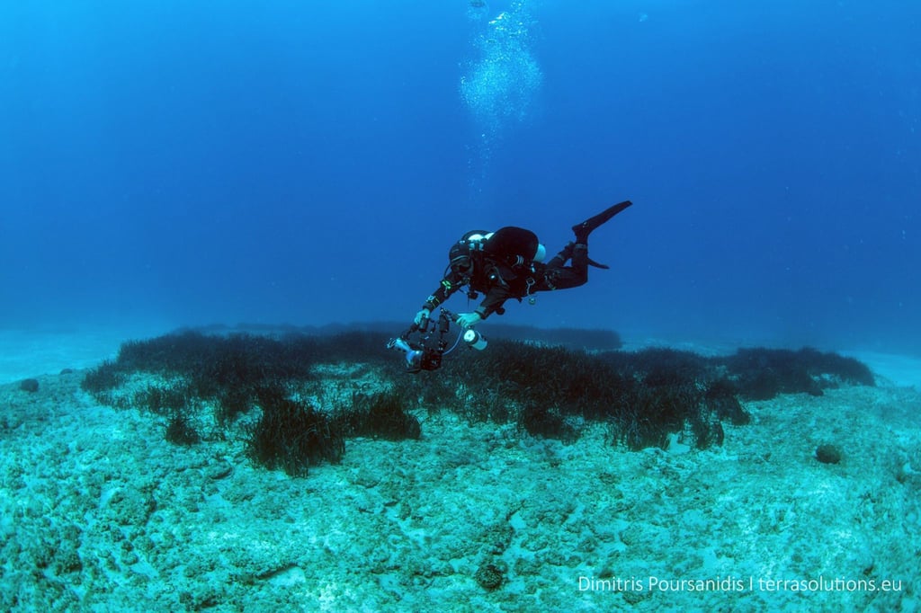 Der Apokoronas Diving Park soll der erste voll lizenzierte Tauchpark Griechenlands sein.