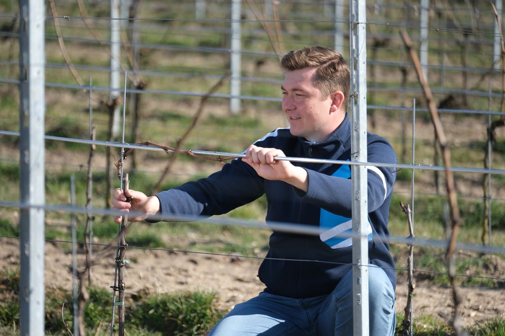 Der 33-jährige Weinbauer Johannes Zwicker aus Jessen schützt seine Pflanzen mit dem Heizsystem.