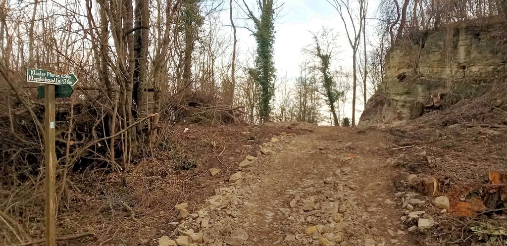 Breite Schneise an der  „Windlücke“ zwischen Schulpforte und Bad Kösen an der B87: Die Stiftung Schulpforta hat hier einen Forstweg ausgebaut und dabei einen Wanderweg unterbrochen.