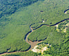 Abschnitt des Regenwalds in Brasilien