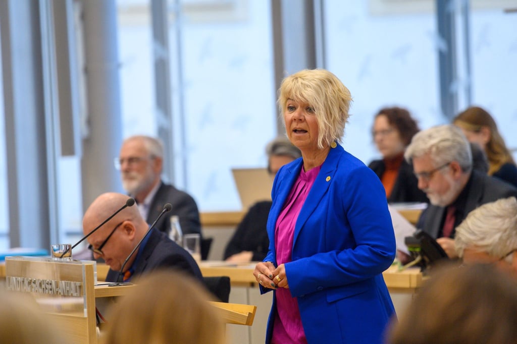 Lüddemann will bei der Aufstellung der Landesliste auf Platz drei kandidieren. (Archivbild)