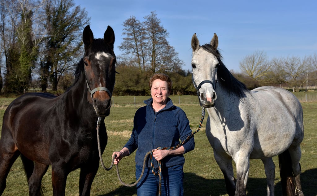 Wacher Blick, gespitzte Ohren. Ihr Alter sieht man Kalypso Lady (links) nicht an. Zusammen mit Weidekumpeline Calea wird sie von Angelika Netzband fürsorglich betreut.