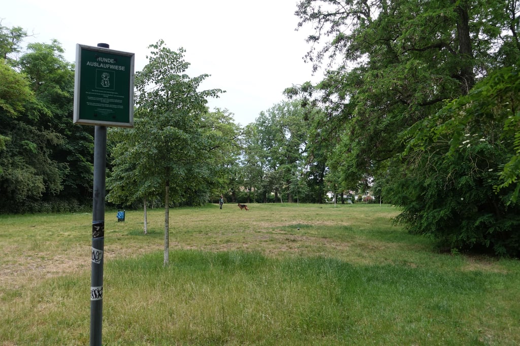 Blick auf die Wiese im Fort II. Hier soll das Fest stattfinden.